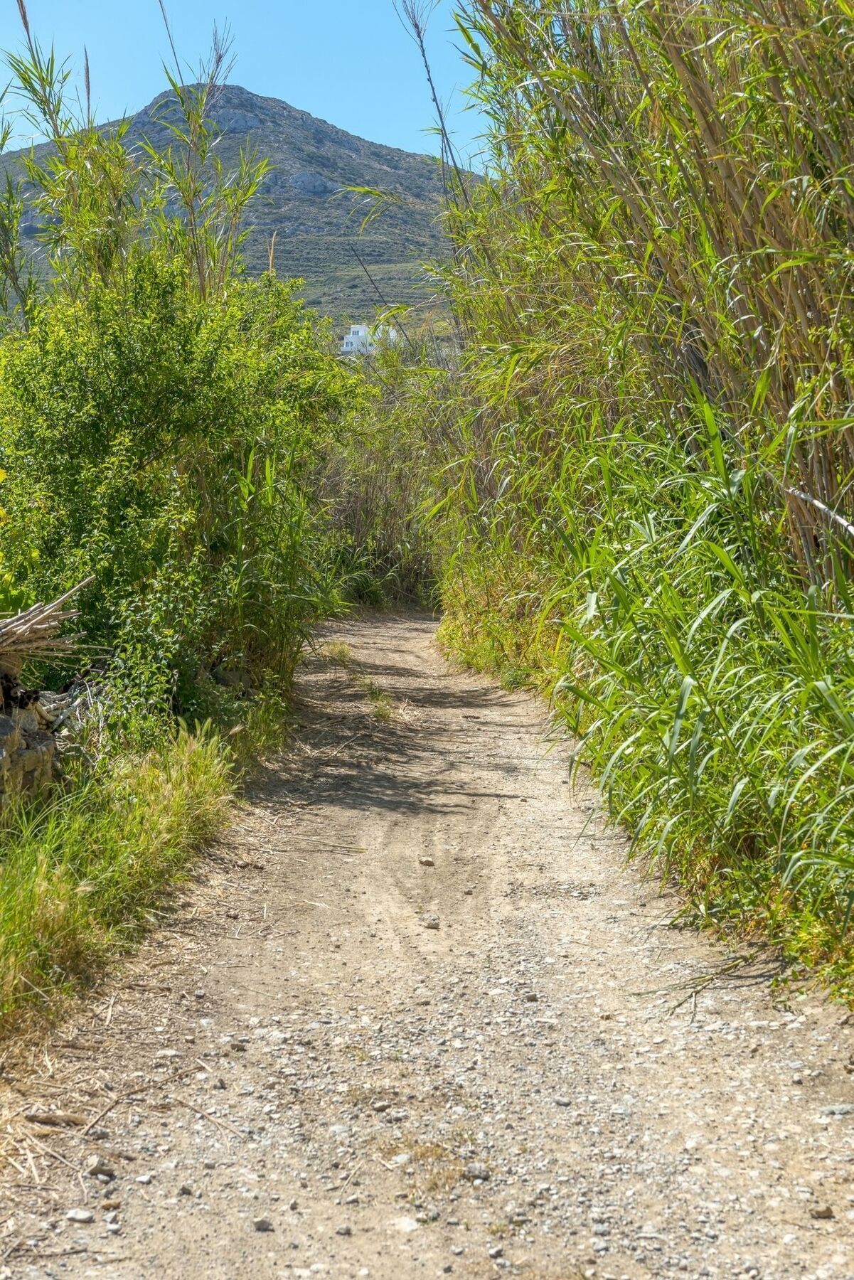 Engaraí Villa Delona מראה חיצוני תמונה